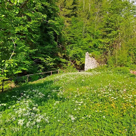 Гостевой дом Wuhrsteinhaus, Heil- Und Seminarzentrum Chiemgau