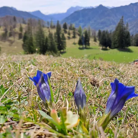 Wuhrsteinhaus, Heil- Und Seminarzentrum Chiemgau بيت ضيافة